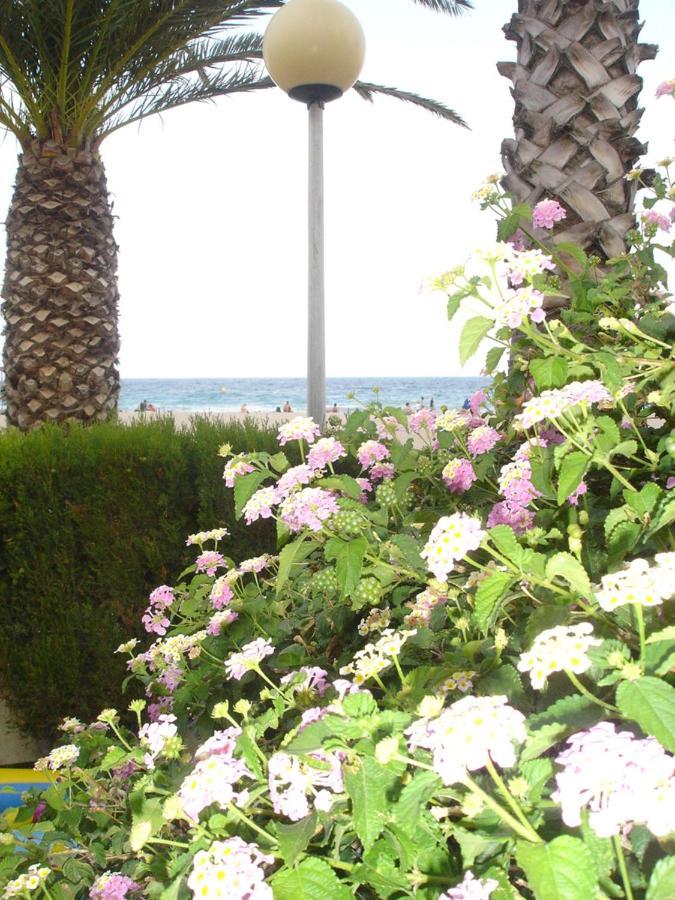 Apartament Del Mar ミアミ・プラトーヤ エクステリア 写真